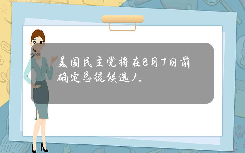 美国民主党将在8月7日前确定总统候选人