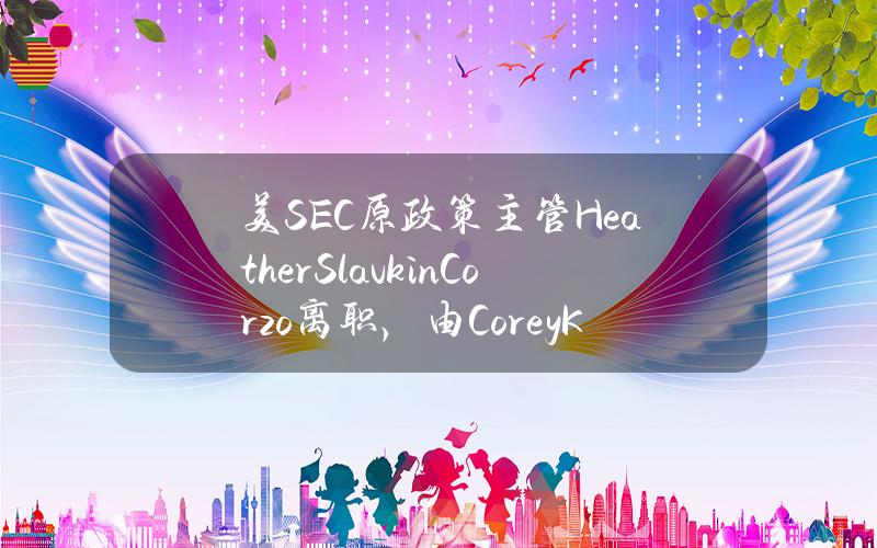 美SEC原政策主管HeatherSlavkinCorzo离职，由CoreyKlemmer接任