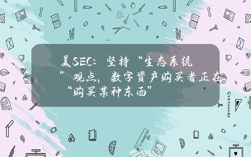 美SEC：坚持“生态系统”观点，数字资产购买者正在“购买某种东西”