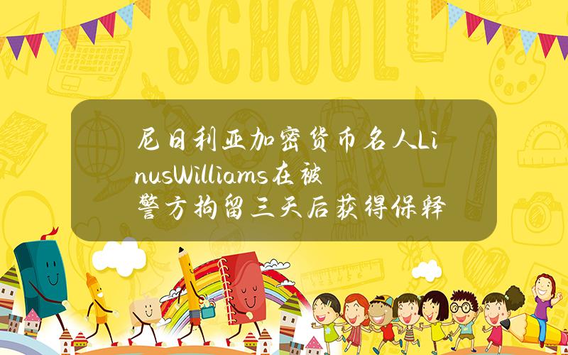 尼日利亚加密货币名人LinusWilliams在被警方拘留三天后获得保释