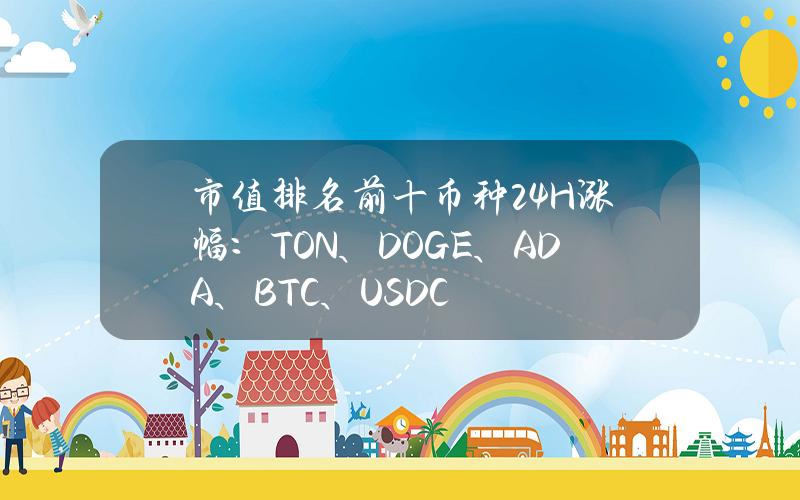 市值排名前十币种24H涨幅：TON、DOGE、ADA、BTC、USDC