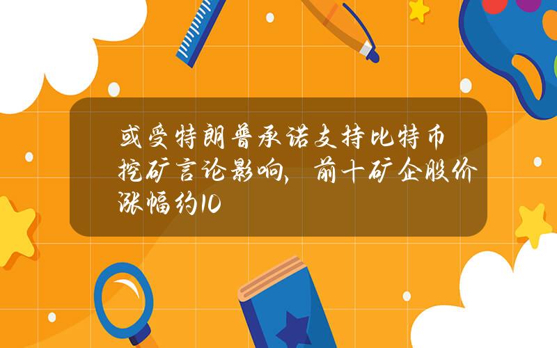 或受特朗普承诺支持比特币挖矿言论影响，前十矿企股价涨幅约10%