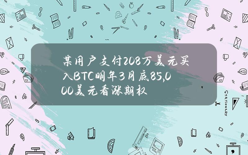 某用户支付208万美元买入BTC明年3月底85,000美元看涨期权