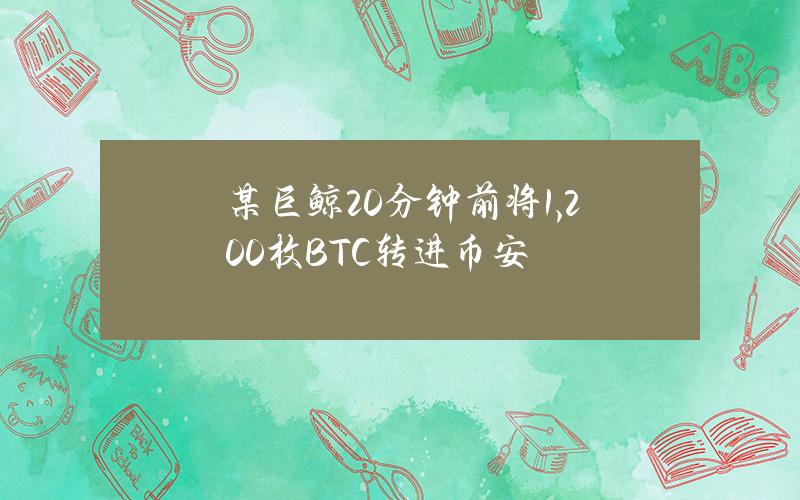 某巨鲸20分钟前将1,200枚BTC转进币安