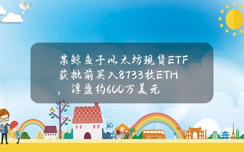 某鲸鱼于以太坊现货ETF获批前买入8733枚ETH，浮盈约600万美元