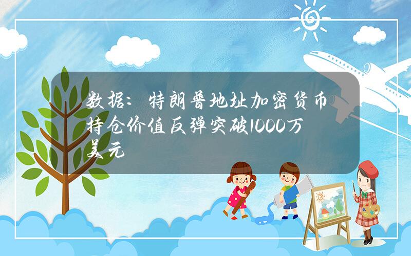 数据：特朗普地址加密货币持仓价值反弹突破1000万美元