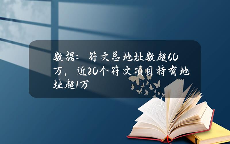 数据：符文总地址数超60万，近20个符文项目持有地址超1万