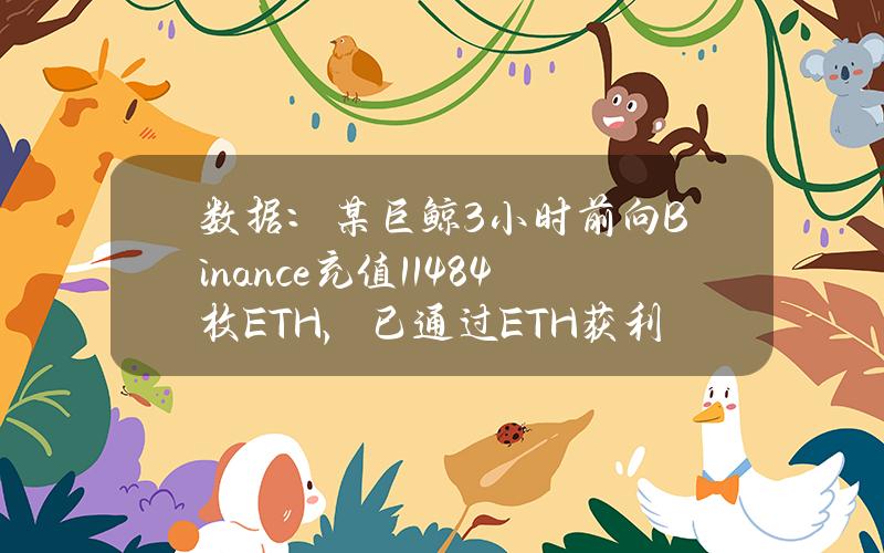 数据：某巨鲸3小时前向Binance充值11484枚ETH，已通过ETH获利3349万美元