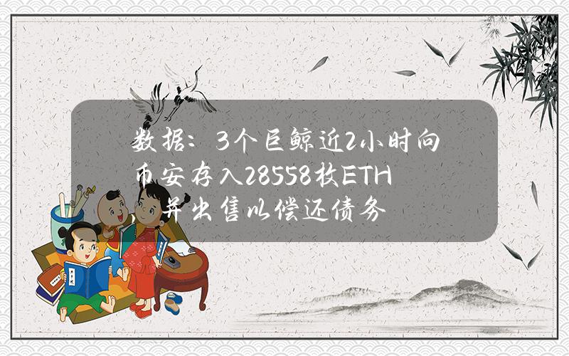 数据：3个巨鲸近2小时向币安存入28558枚ETH，并出售以偿还债务