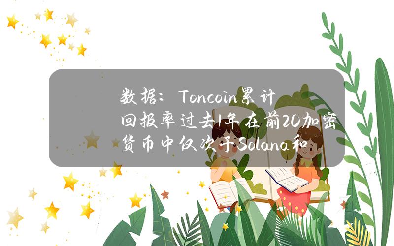 数据：Toncoin累计回报率过去1年在前20加密货币中仅次于Solana和Near