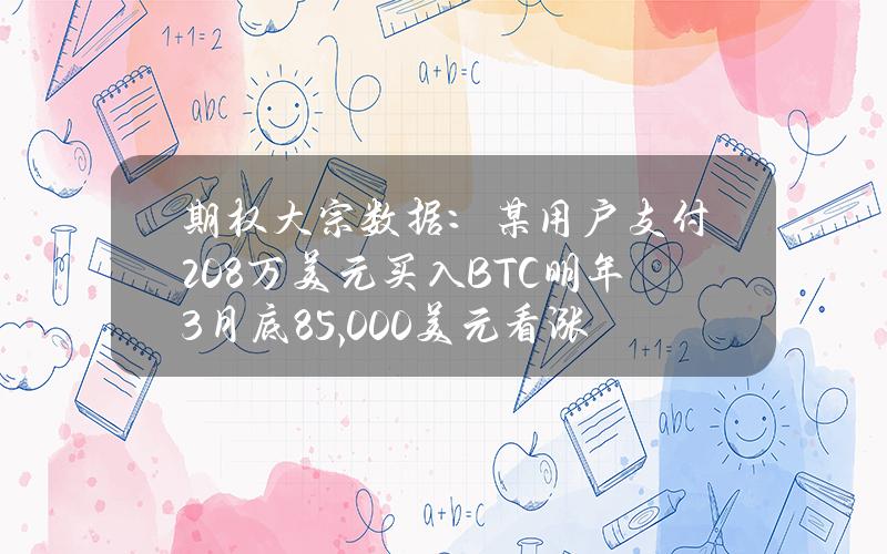 期权大宗数据：某用户支付208万美元买入BTC明年3月底85,000美元看涨期权