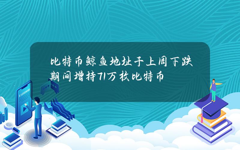 比特币鲸鱼地址于上周下跌期间增持7.1万枚比特币