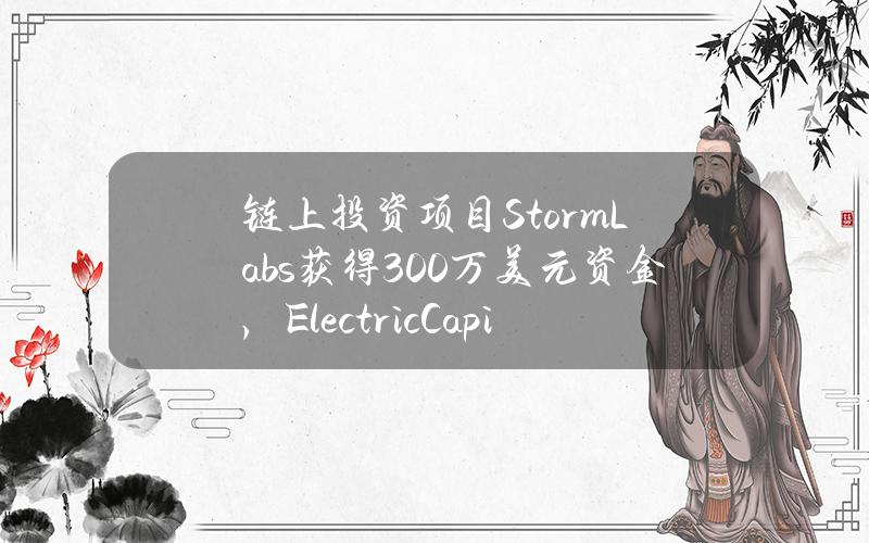 链上投资项目StormLabs获得300万美元资金，ElectricCapital领投