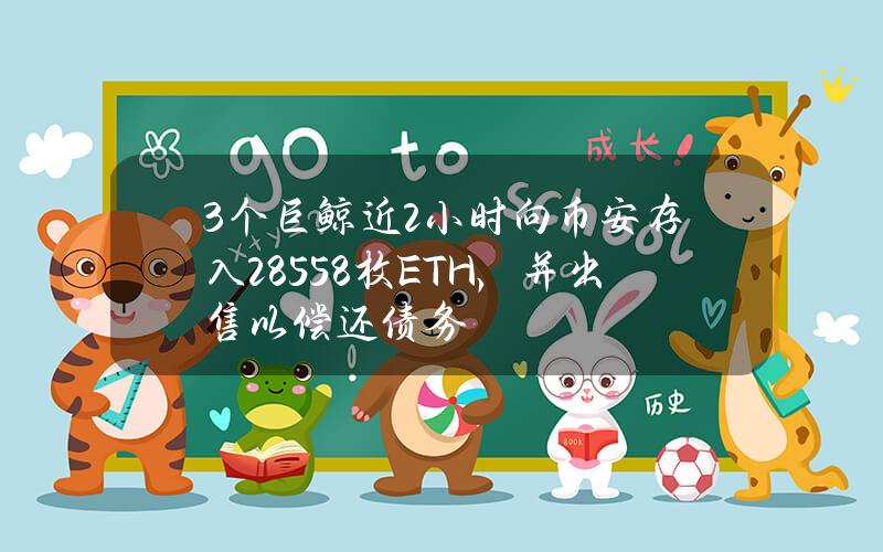 3个巨鲸近2小时向币安存入28558枚ETH，并出售以偿还债务