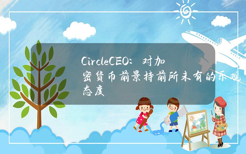 CircleCEO：对加密货币前景持前所未有的乐观态度