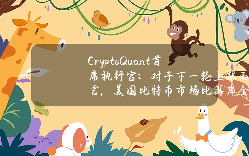 CryptoQuant首席执行官：对于下一轮上涨而言，美国比特币市场比离岸全球市场更为重要