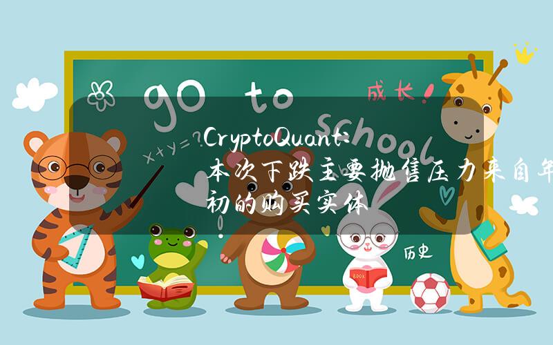 CryptoQuant：本次下跌主要抛售压力来自年初的购买实体