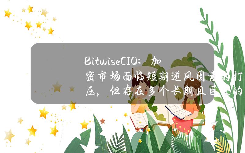 BitwiseCIO：加密市场面临短期逆风因素的打压，但存在多个长期且巨大的顺风因素