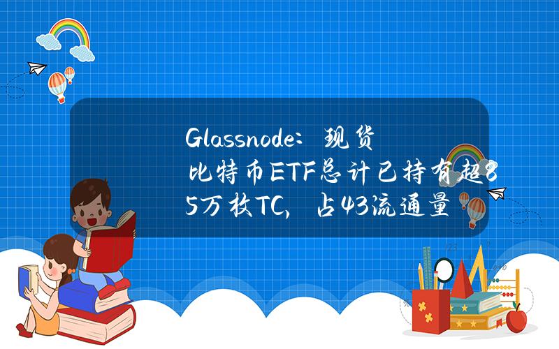 Glassnode：现货比特币ETF总计已持有超85万枚TC，占4.3%流通量