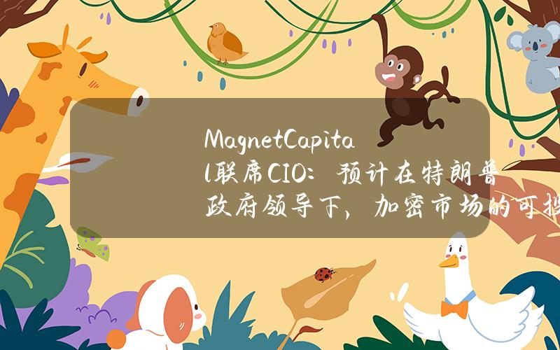 MagnetCapital联席CIO：预计在特朗普政府领导下，加密市场的可投资性将大大提高