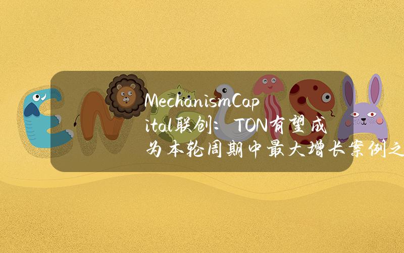 MechanismCapital联创：TON有望成为本轮周期中最大增长案例之一