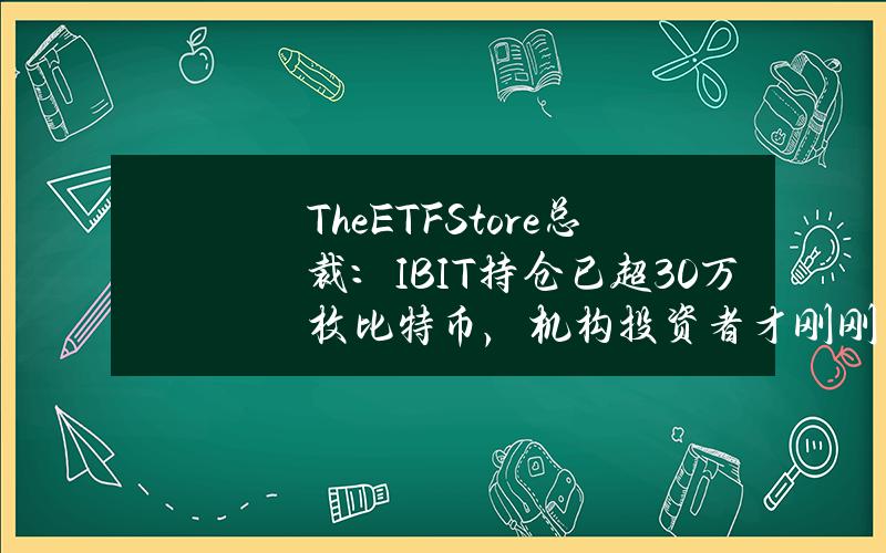 TheETFStore总裁：IBIT持仓已超30万枚比特币，机构投资者才刚刚开始进入市场